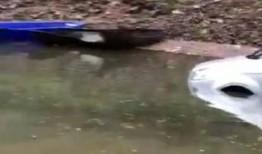 网友爆料钓鱼视频,险象环生，揭秘钓鱼高手如何应对突发状况